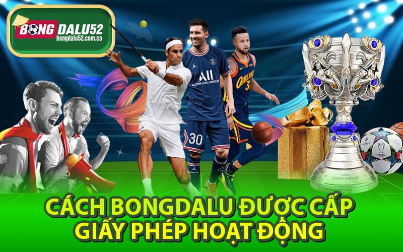 Giấy phép hoạt động bongdalu