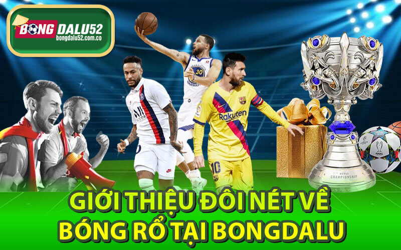 Bóng Rổ