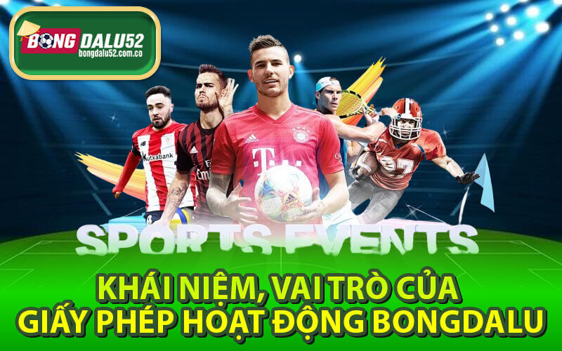 Giấy phép hoạt động bongdalu