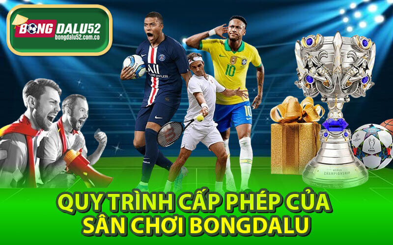 Giấy phép hoạt động bongdalu